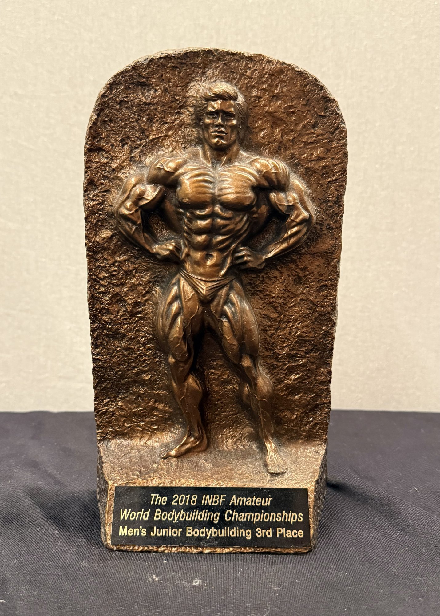 WM-Bronze-Plakette 2018